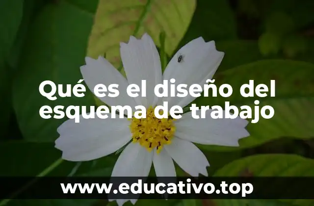 Qué es el diseño del esquema de trabajo