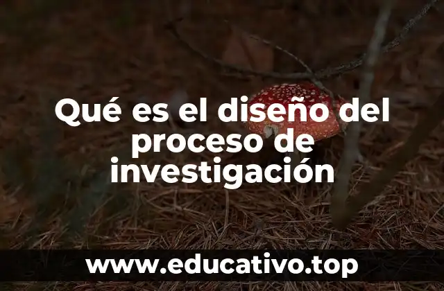 La importancia de una estructura clara en el desarrollo de un estudio