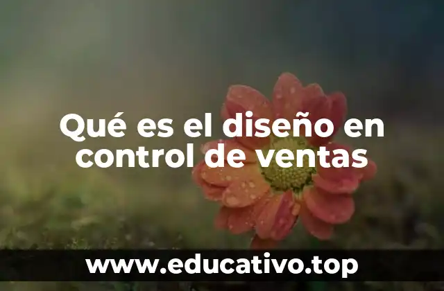 Qué es el diseño en control de ventas