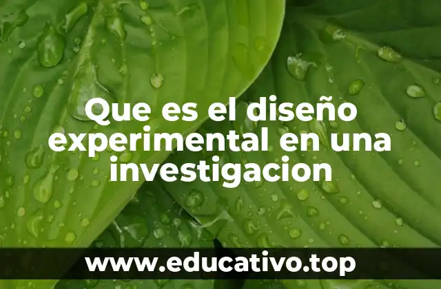 Que es el diseño experimental en una investigacion