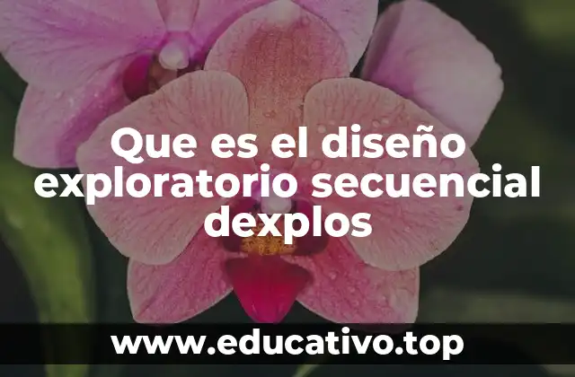 Que es el diseño exploratorio secuencial dexplos