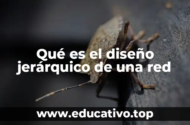 Qué es el diseño jerárquico de una red