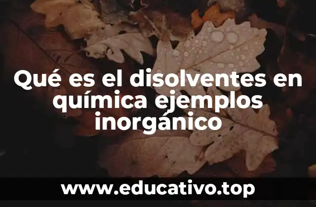 Características químicas de los disolventes inorgánicos