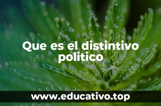 Que es el distintivo politico