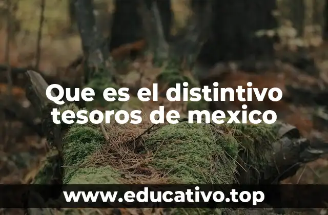 Que es el distintivo tesoros de mexico
