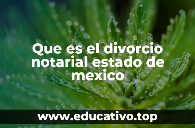 Que es el divorcio notarial estado de mexico