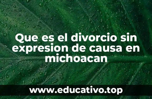 Que es el divorcio sin expresion de causa en michoacan