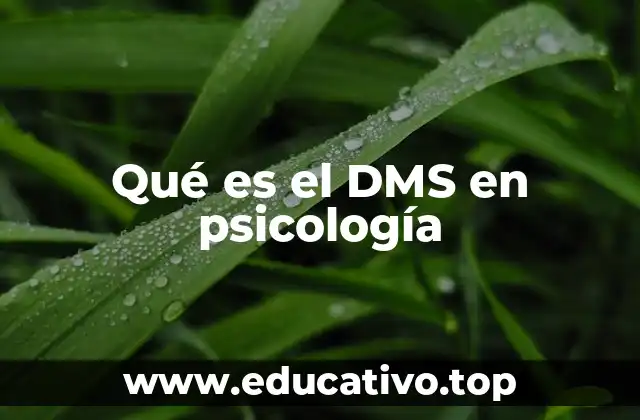 Qué es el DMS en psicología