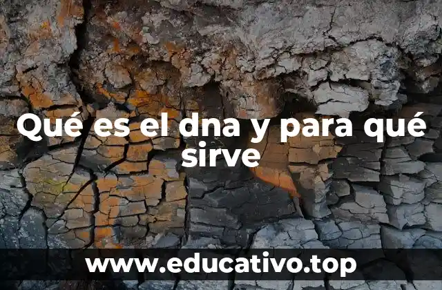 Qué es el dna y para qué sirve