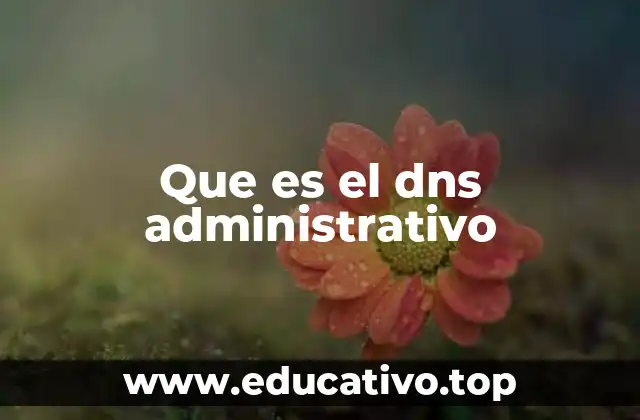 La importancia del control del DNS en la infraestructura digital