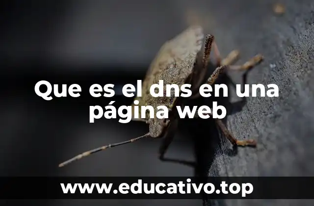 Que es el dns en una página web