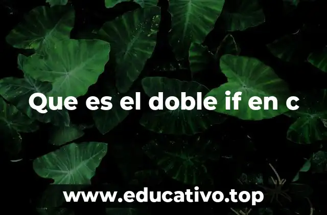 Que es el doble if en c