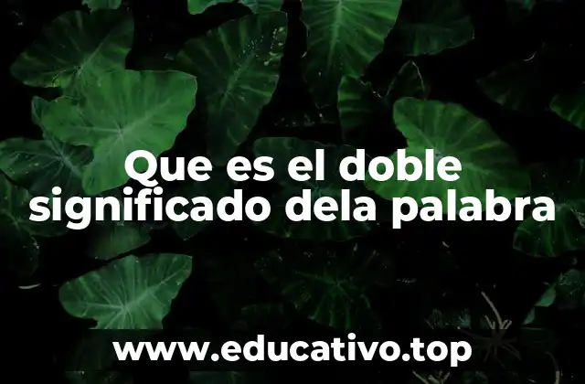 Que es el doble significado dela palabra