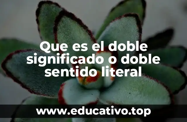 Que es el doble significado o doble sentido literal