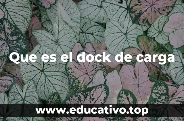 Que es el dock de carga