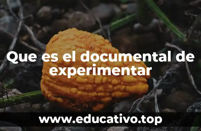 Explorando el mundo a través de la experimentación audiovisual