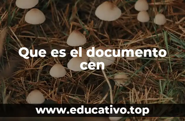 Que es el documento cen