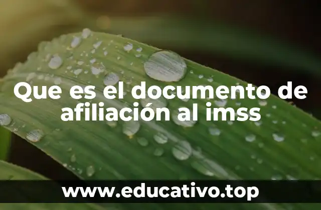 Que es el documento de afiliación al imss