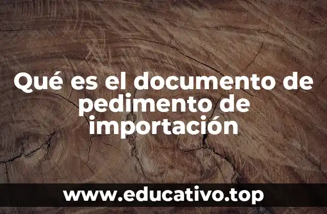 Qué es el documento de pedimento de importación