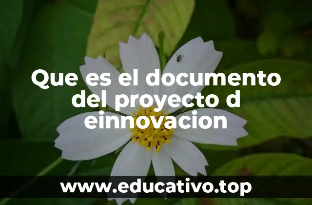 Que es el documento del proyecto d einnovacion