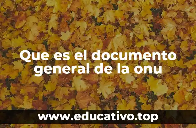 Que es el documento general de la onu