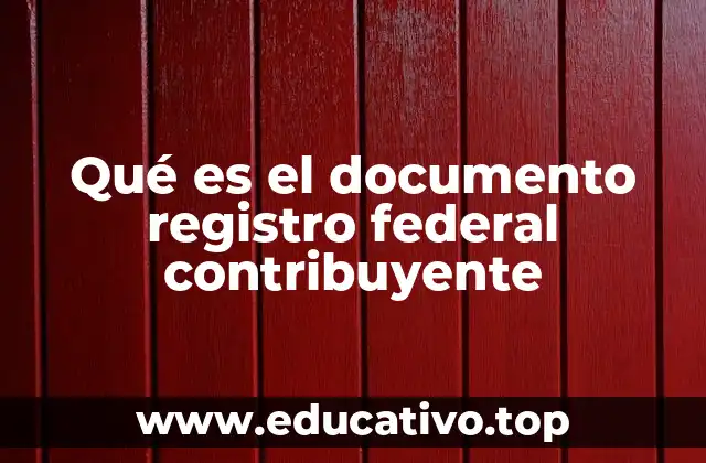 Qué es el documento registro federal contribuyente