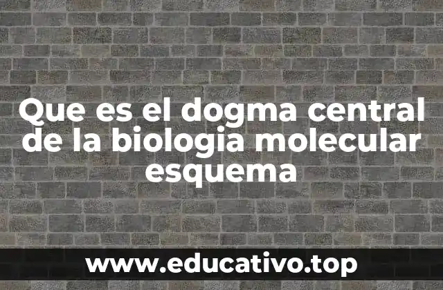 Que es el dogma central de la biologia molecular esquema