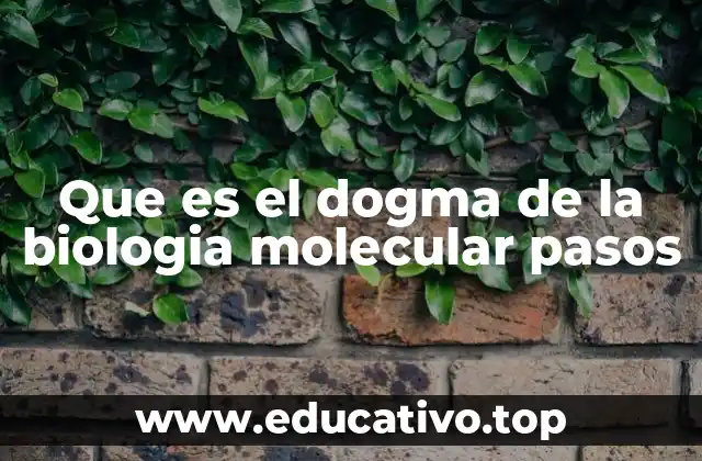 Que es el dogma de la biologia molecular pasos