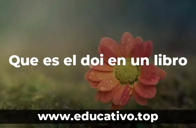 Que es el doi en un libro