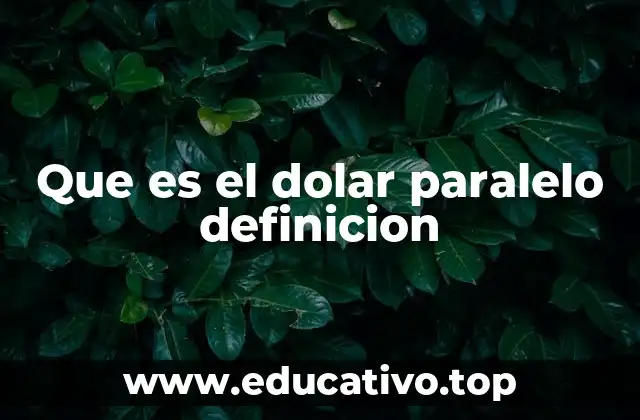 El papel del dólar paralelo en economías con controles cambiarios