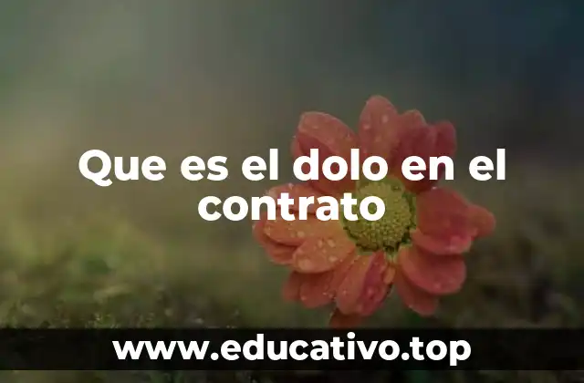 Que es el dolo en el contrato