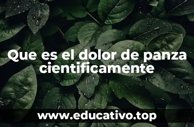 Que es el dolor de panza cientificamente