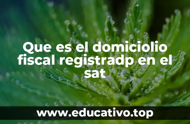 Que es el domiciolio fiscal registradp en el sat