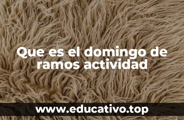 Que es el domingo de ramos actividad