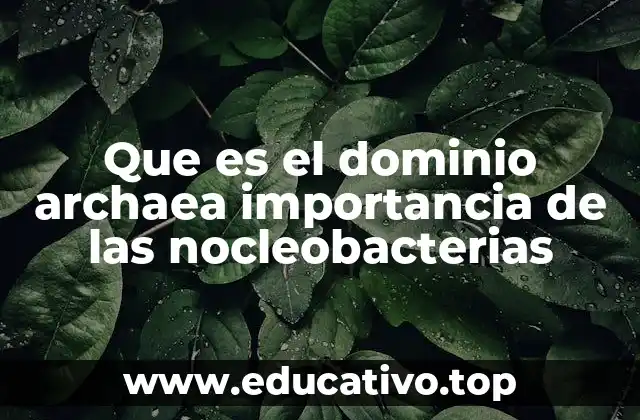 Que es el dominio archaea importancia de las nocleobacterias