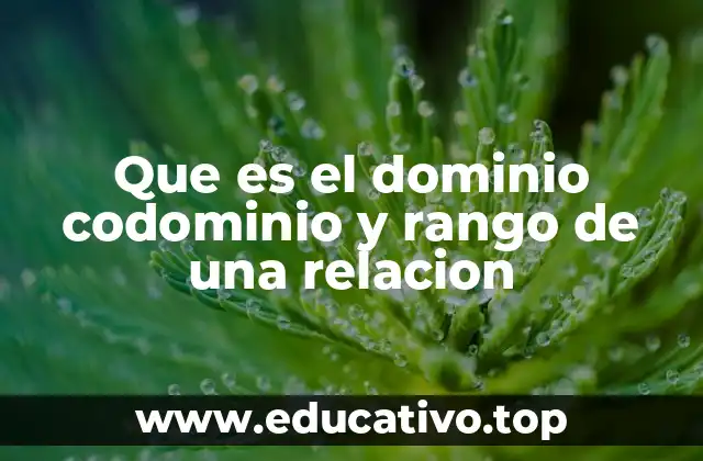 Que es el dominio codominio y rango de una relacion