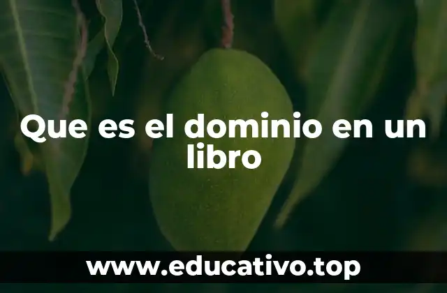 Que es el dominio en un libro