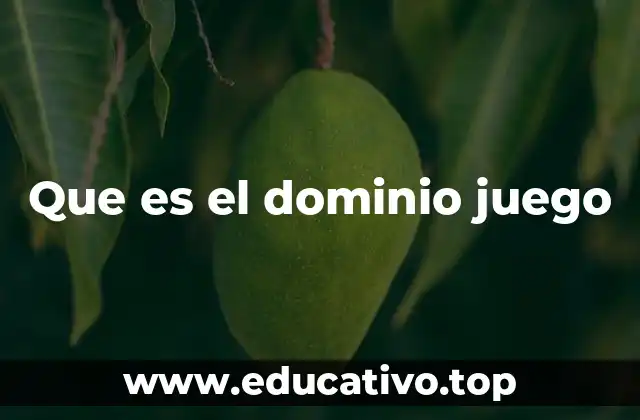 Que es el dominio juego