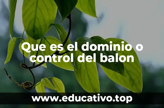 Que es el dominio o control del balon