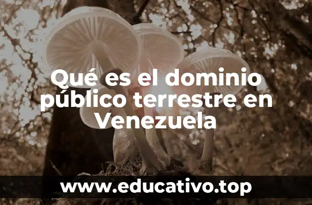 Qué es el dominio público terrestre en Venezuela