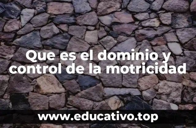 Que es el dominio y control de la motricidad