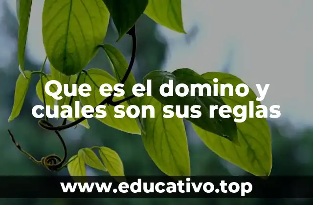 Que es el domino y cuales son sus reglas