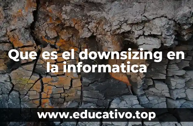 Que es el downsizing en la informatica