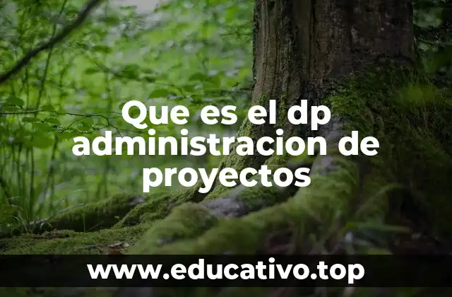 Que es el dp administracion de proyectos
