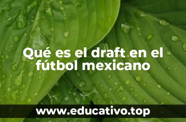 Qué es el draft en el fútbol mexicano