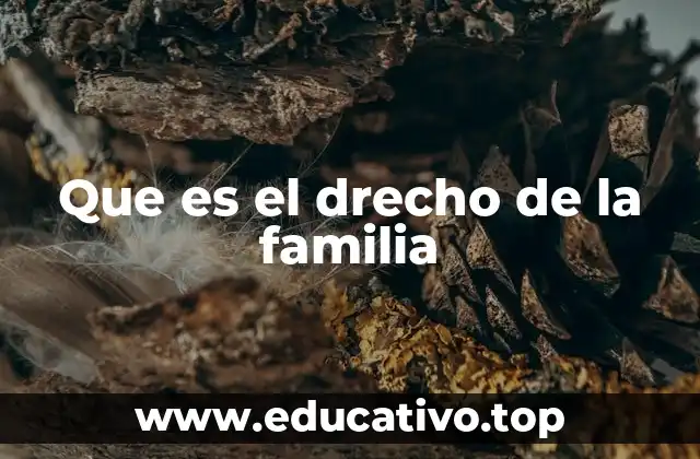 Que es el drecho de la familia