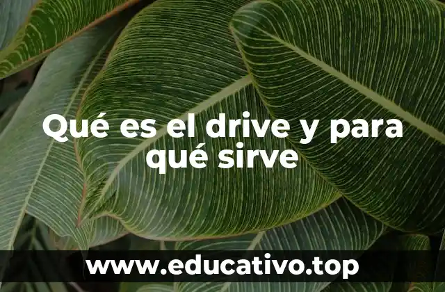Qué es el drive y para qué sirve