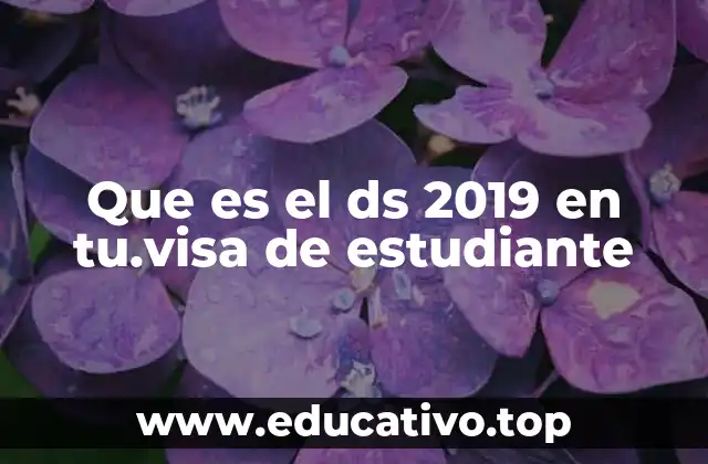 Que es el ds 2019 en tu.visa de estudiante