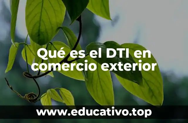 Qué es el DTI en comercio exterior