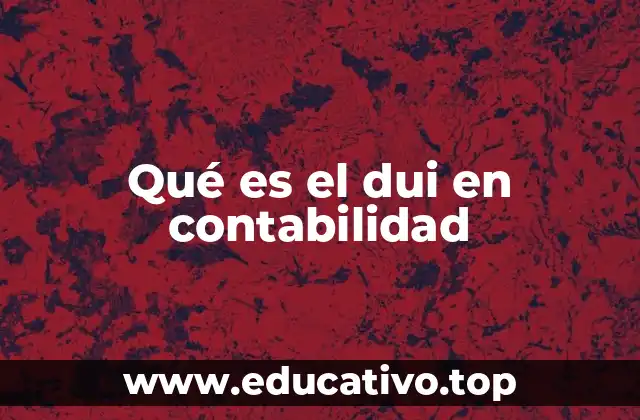 Qué es el dui en contabilidad